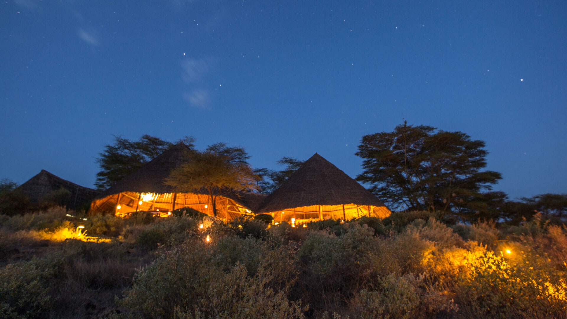elewana tortilis camp