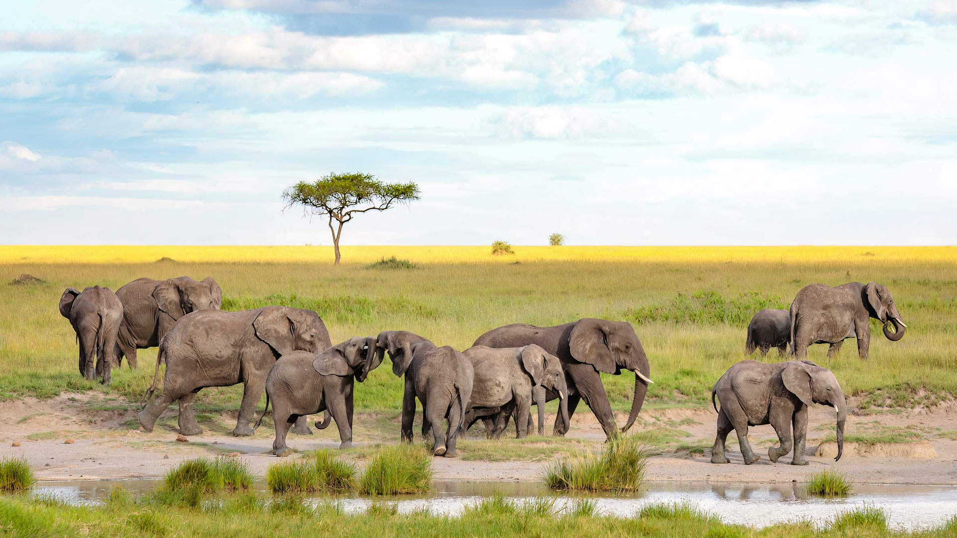 northern serengeti
