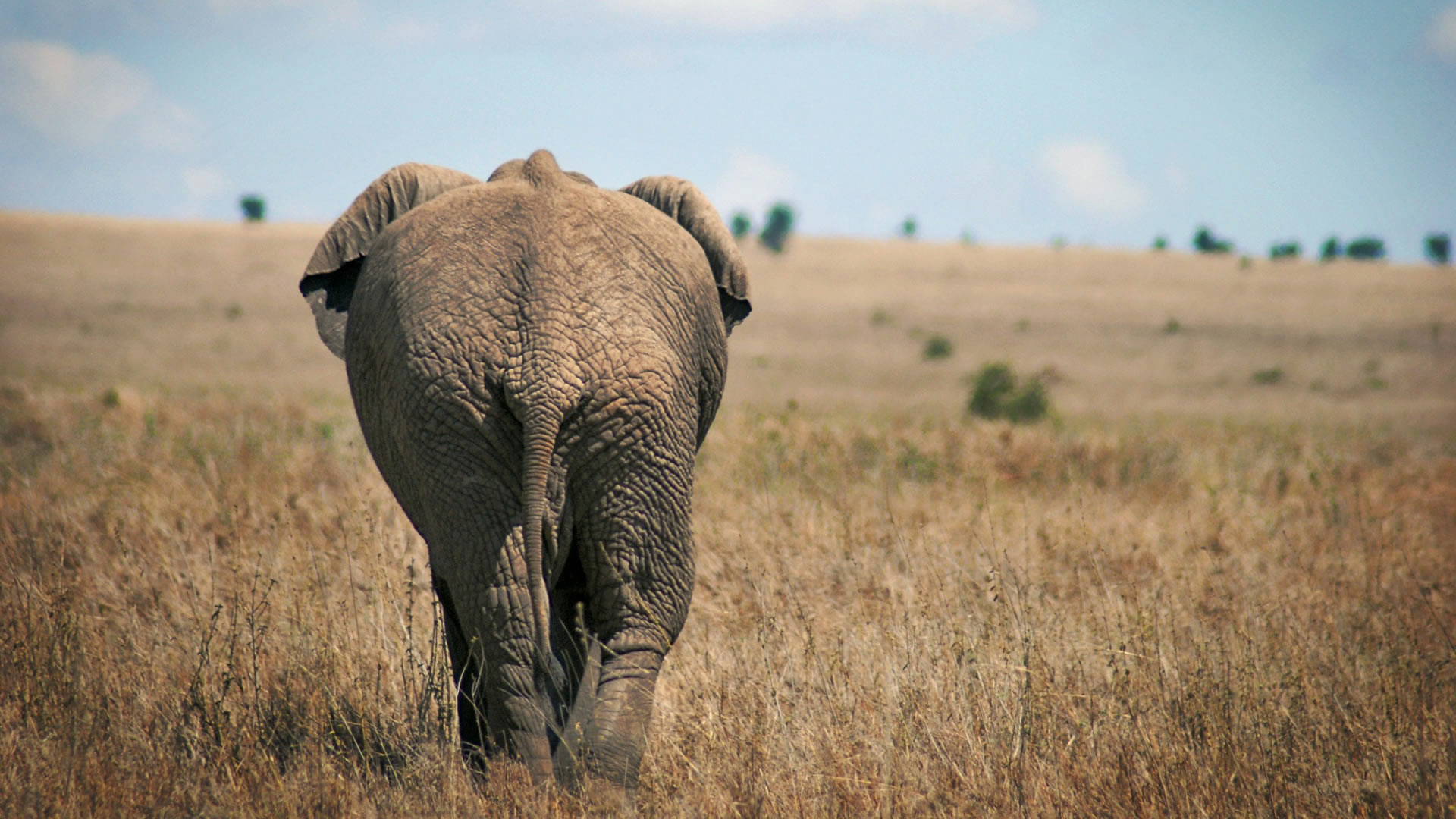Serengeti National Park